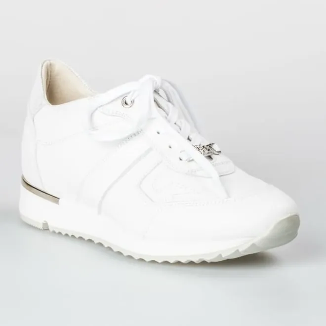 DL Sport 5024